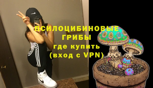 эйфоретик Абинск