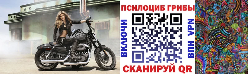 Псилоцибиновые грибы прущие грибы где найти наркотики Таганрог